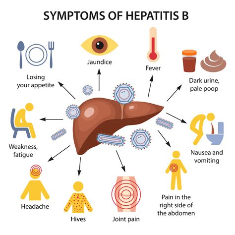 Hepatitis B .